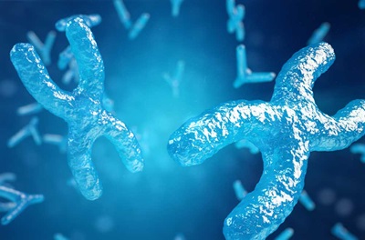 Illustration of chromosomes